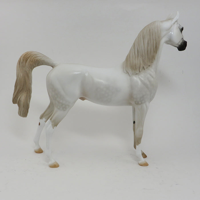 BEYONDER-WHITE- ARABIAN-OOAK 10/2