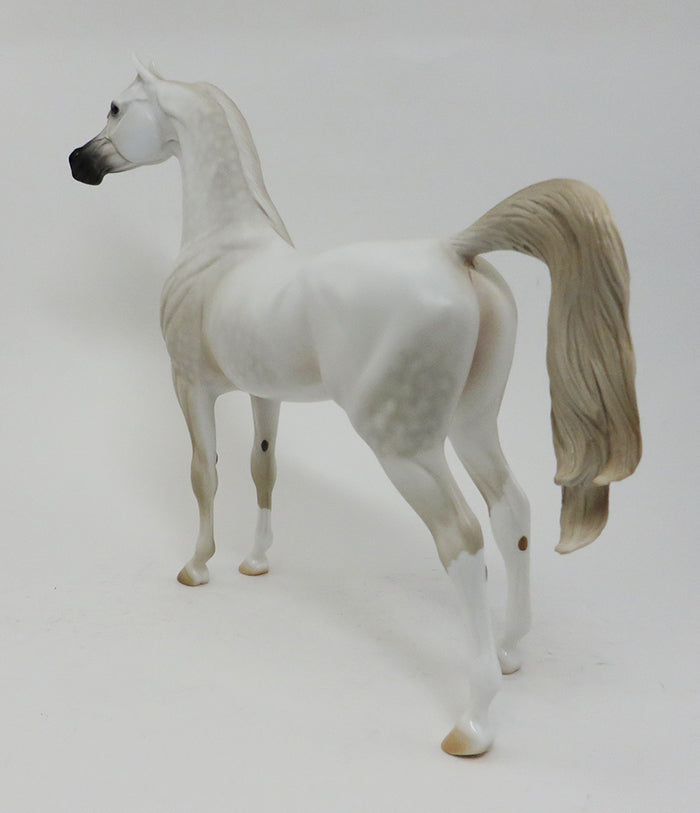 BEYONDER-WHITE- ARABIAN-OOAK 10/2