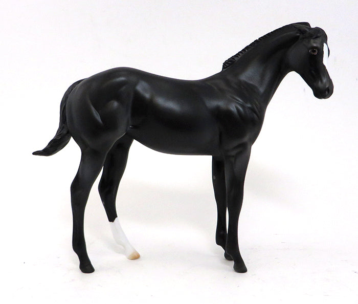 MIDNIGHT AT THE OASIS-BLACK PINTO-OOAK WEANLING-10/2