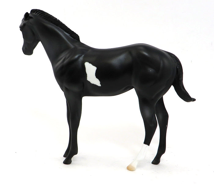 MIDNIGHT AT THE OASIS-BLACK PINTO-OOAK WEANLING-10/2