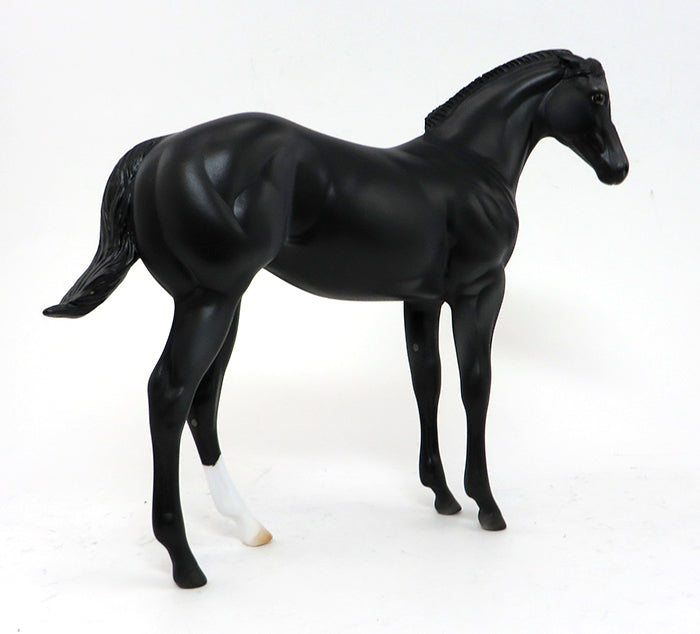 MIDNIGHT AT THE OASIS-BLACK PINTO-OOAK WEANLING-10/2