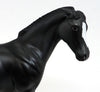 MIDNIGHT AT THE OASIS-BLACK PINTO-OOAK WEANLING-10/2