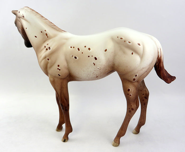 PAPARIKA-OOAK RED CHESTNUT APPALOOSA WEANLING MODEL HORSE 12/19
