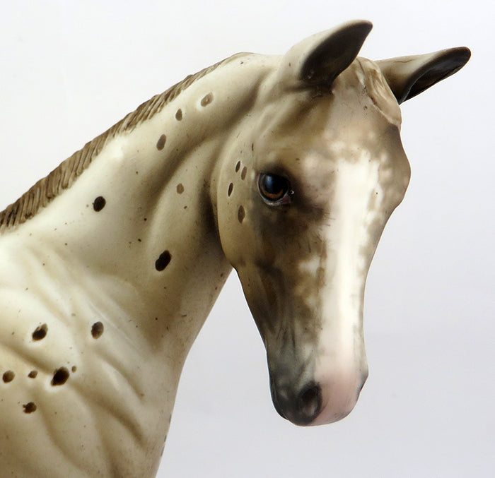 CHESSY-OOAK CHESTNUT APPALOOSA WEANLING MODEL HORSE 12/19