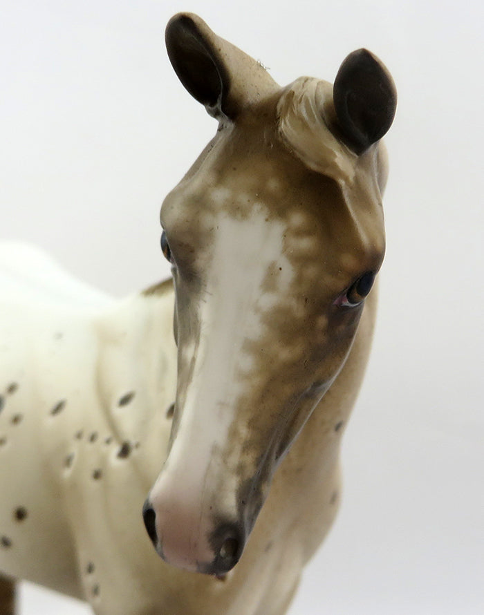 CHESSY-OOAK CHESTNUT APPALOOSA WEANLING MODEL HORSE 12/19
