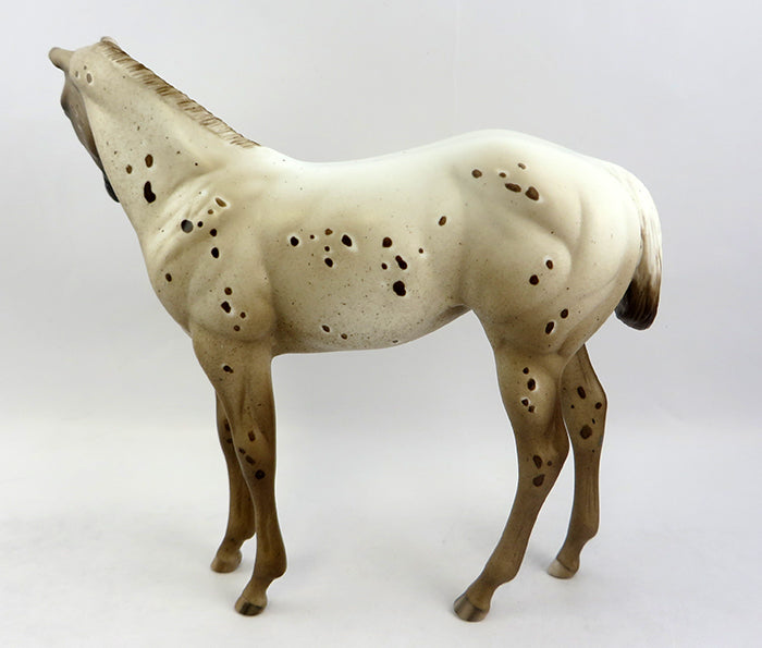 CHESSY-OOAK CHESTNUT APPALOOSA WEANLING MODEL HORSE 12/19