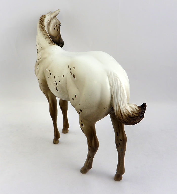 CHESSY-OOAK CHESTNUT APPALOOSA WEANLING MODEL HORSE 12/19