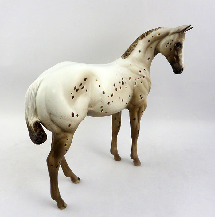CHESSY-OOAK CHESTNUT APPALOOSA WEANLING MODEL HORSE 12/19