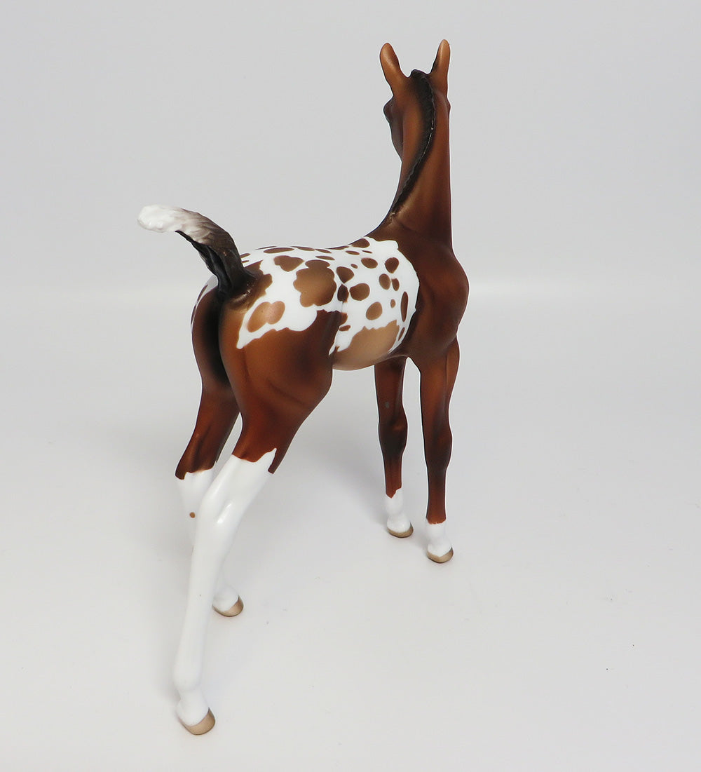 ROTESS-OOAK BAY APPALOOSA ARABIAN FOAL MODEL HORSE 05/24/17