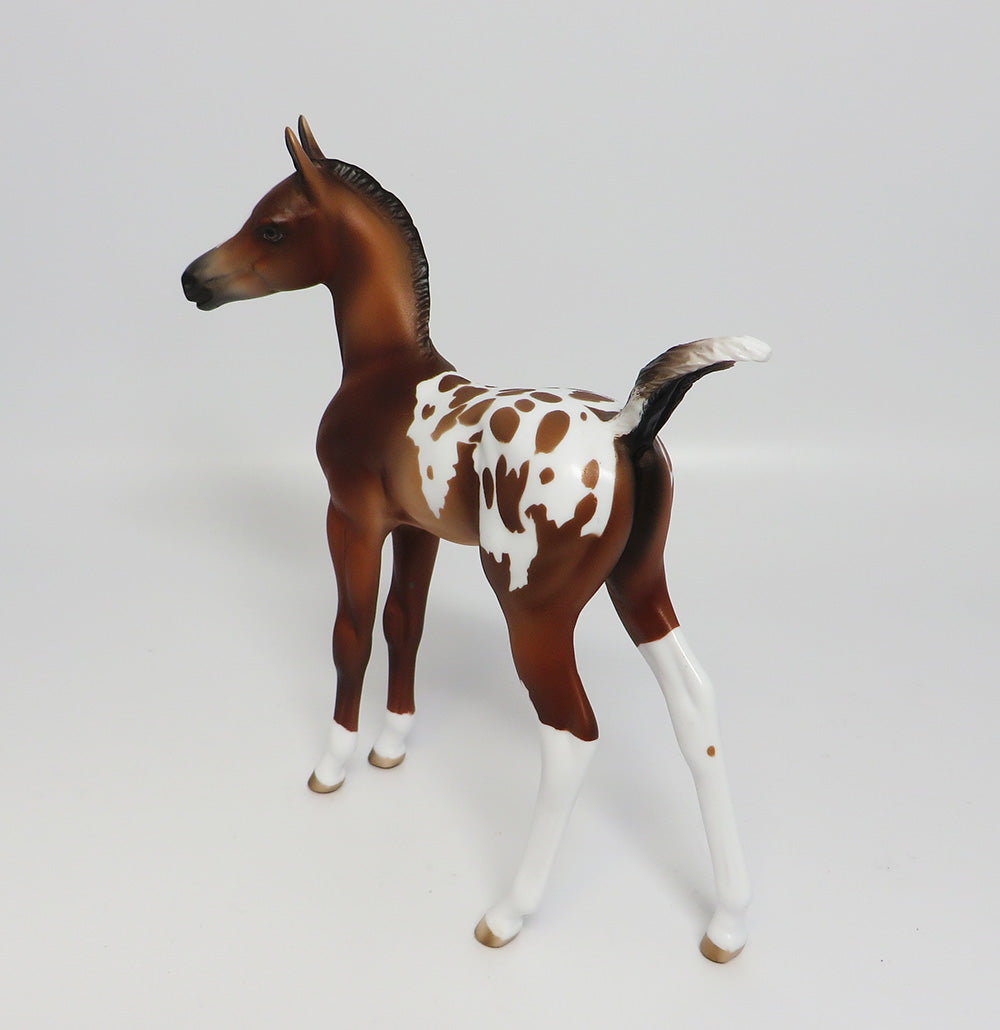 ROTESS-OOAK BAY APPALOOSA ARABIAN FOAL MODEL HORSE 05/24/17