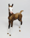 FOAL