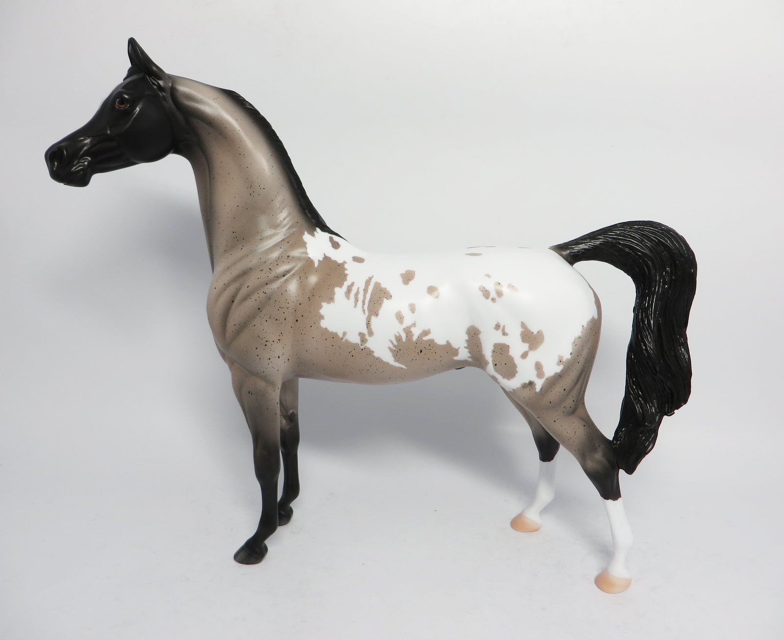 COAL MINER-OOAK BLUE ROAN APPALOOSA ARABIAN MODEL HORSE WHS 2017