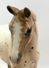 SICILY-OOAK CHESTNUT APPALOOSA MODEL HORSE BY SHERYL LEISURE 12/19