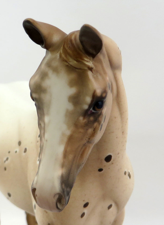 SICILY-OOAK CHESTNUT APPALOOSA MODEL HORSE BY SHERYL LEISURE 12/19
