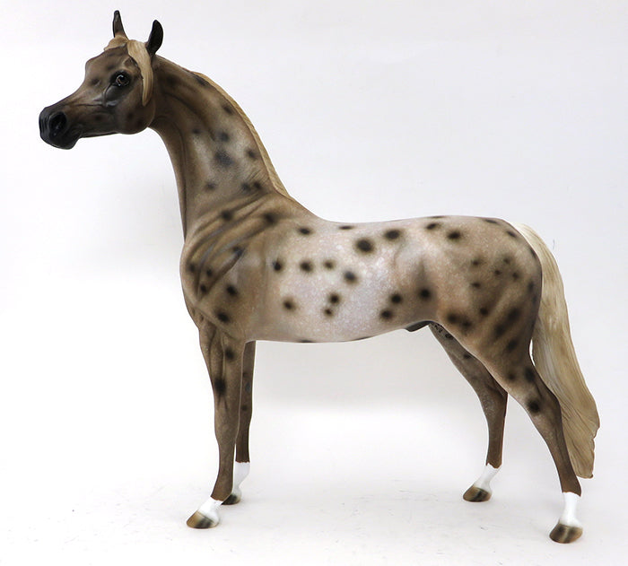BEAU - OOAK APPALOOSA ARABIAN Horse - 10/2