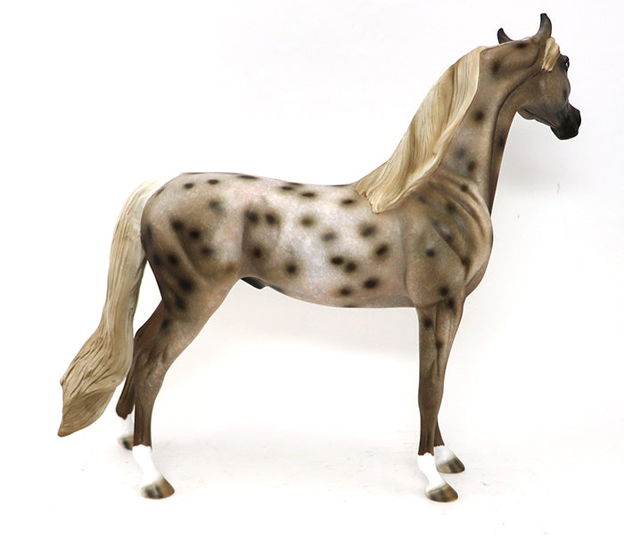 BEAU - OOAK APPALOOSA ARABIAN Horse - 10/2