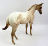 SICILY-OOAK CHESTNUT APPALOOSA MODEL HORSE BY SHERYL LEISURE 12/19