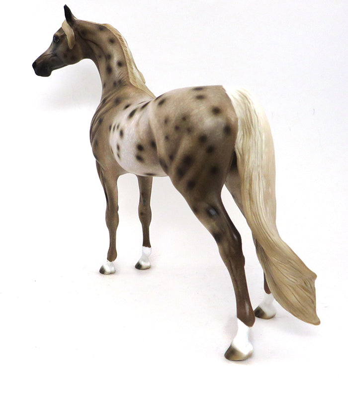 BEAU - OOAK APPALOOSA ARABIAN Horse - 10/2
