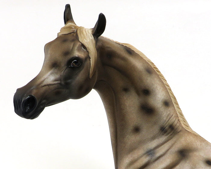 BEAU - OOAK APPALOOSA ARABIAN Horse - 10/2