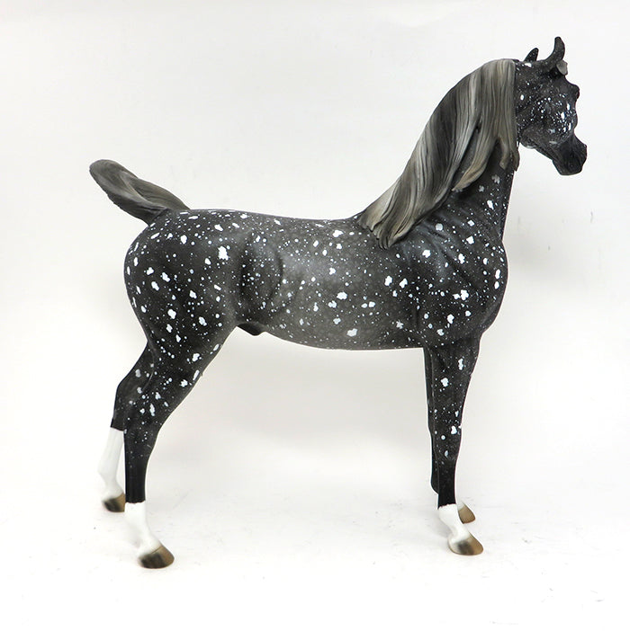 ZODIAC - OOAK SNOW FLAKE APPALOOSA ARABIAN - 10/2
