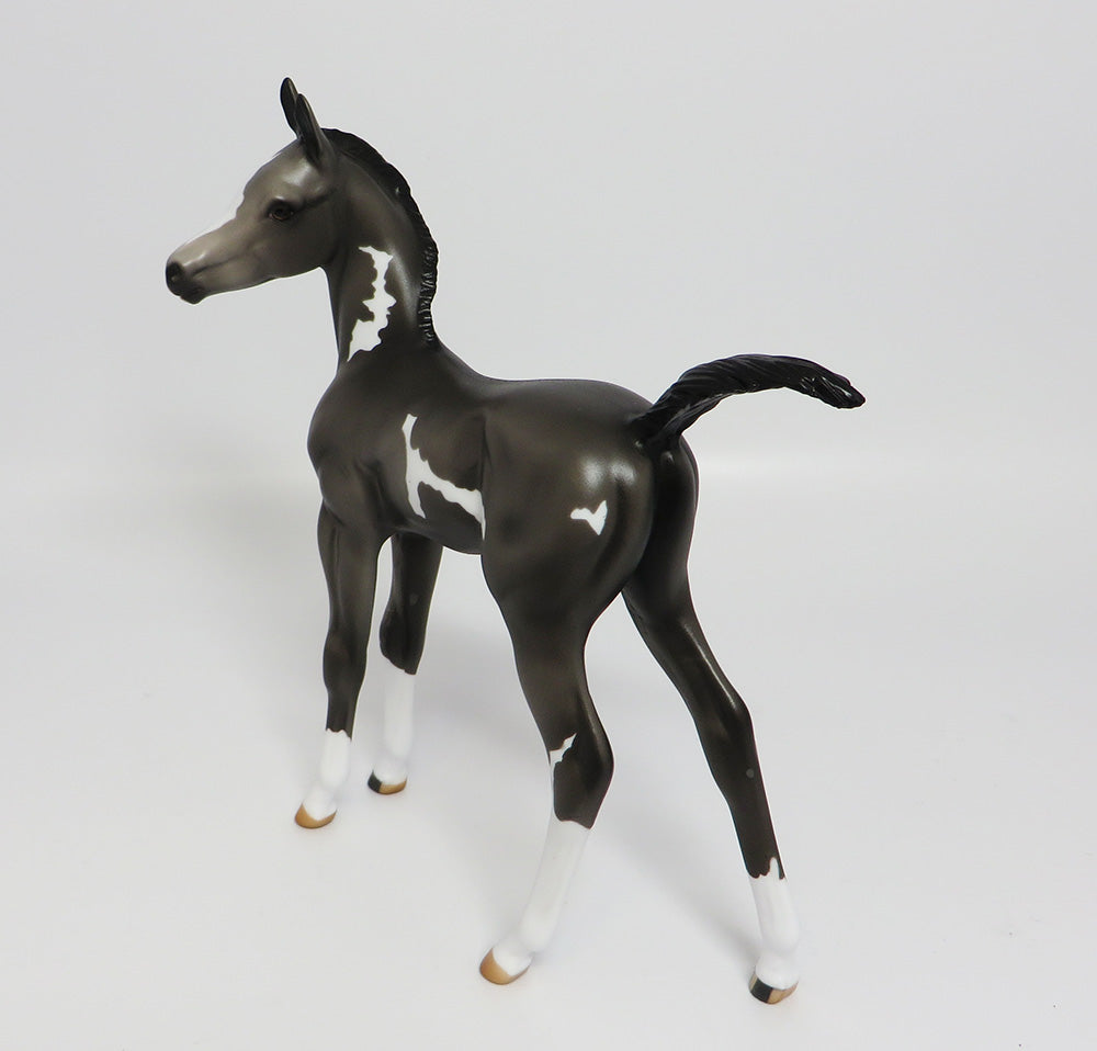 VERA-OOAK GRULLA  PINTO ARABIAN FOAL MODEL HORSE 5/24/17