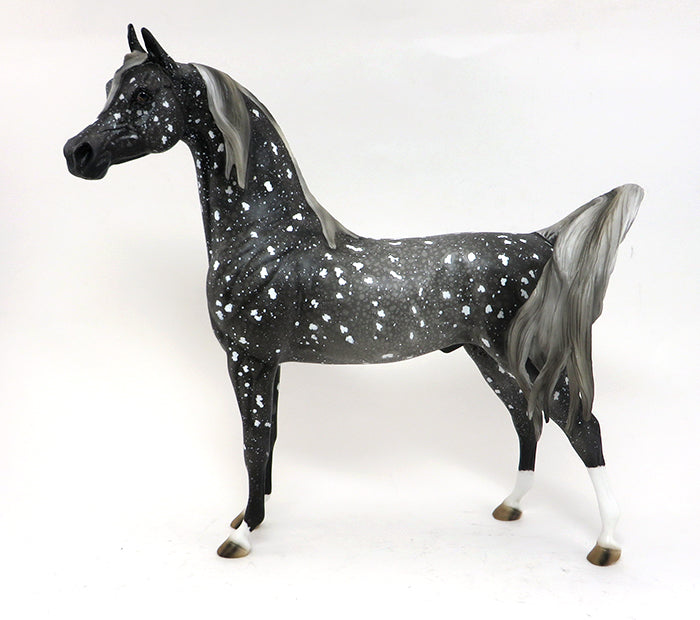 ZODIAC - OOAK SNOW FLAKE APPALOOSA ARABIAN - 10/2