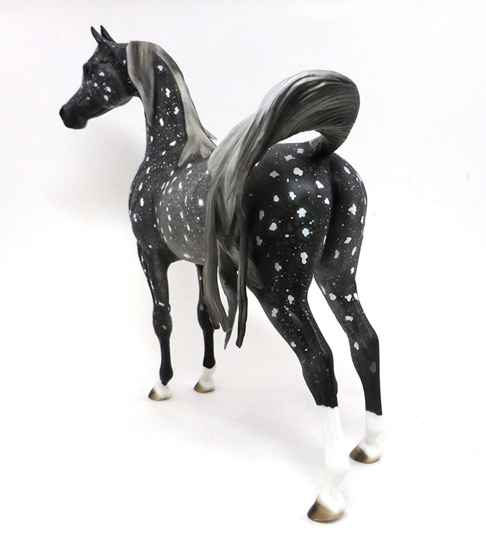 ZODIAC - OOAK SNOW FLAKE APPALOOSA ARABIAN - 10/2