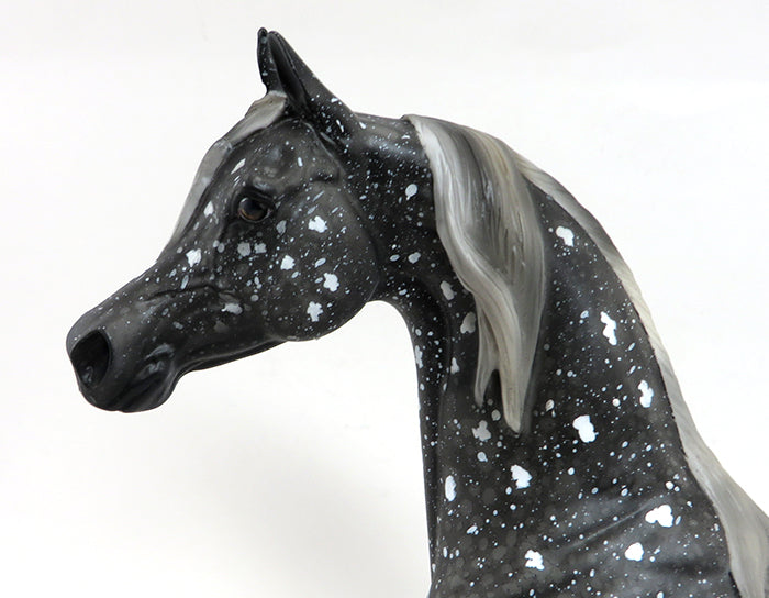 ZODIAC - OOAK SNOW FLAKE APPALOOSA ARABIAN - 10/2