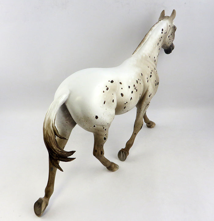 Appaloosa