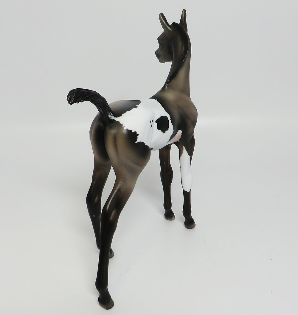 PIXIE-OOAK GRULLA PINTO ARABIAN FOAL MODEL HORSE 05/24/17