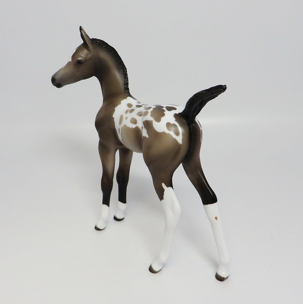 TOSCA-OOAK GREY APPALOOSA FOAL MODEL HORSE 05/24/17