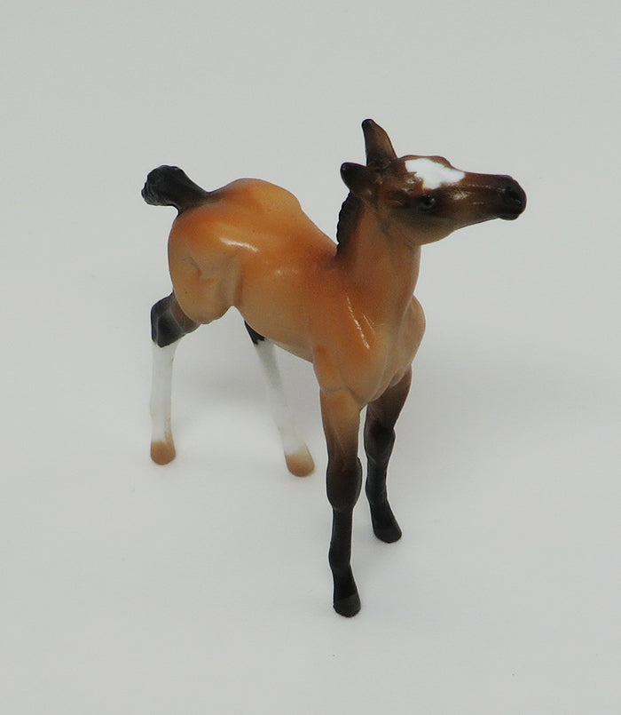 BAYARD BUCKSKIN FOAL