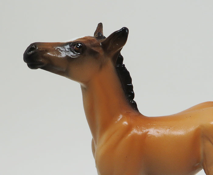 CHIPS MODEL HORSE