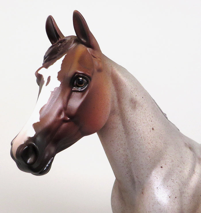 BAREILLES - OOAK CHESTNUT ROAN PALOUSE MODEL HORSE - 1/22