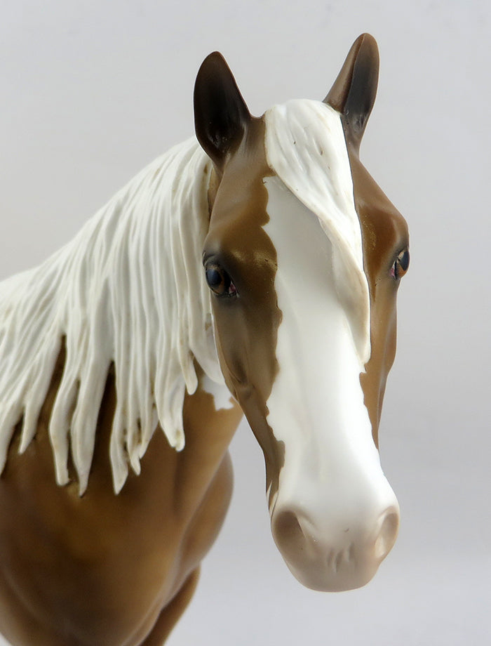 RAPITIN GLORY-OOAK PLAOMINO PAINT ISH MODEL HORSE 12/21