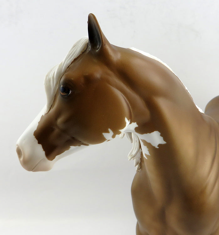 RAPITIN GLORY-OOAK PLAOMINO PAINT ISH MODEL HORSE 12/21