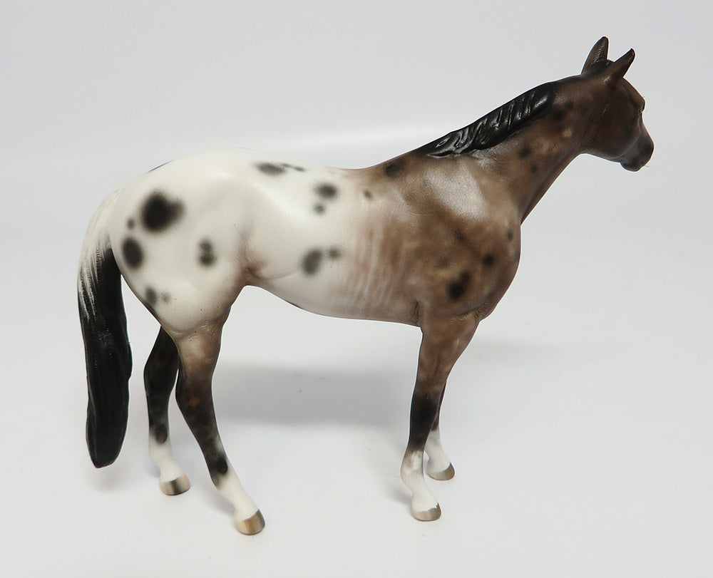 appaloosa