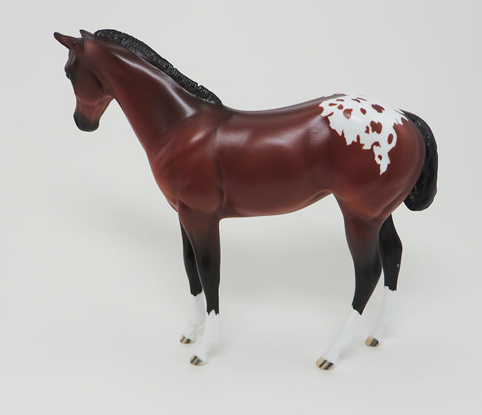 APPALOOSA LIMITED EDITION