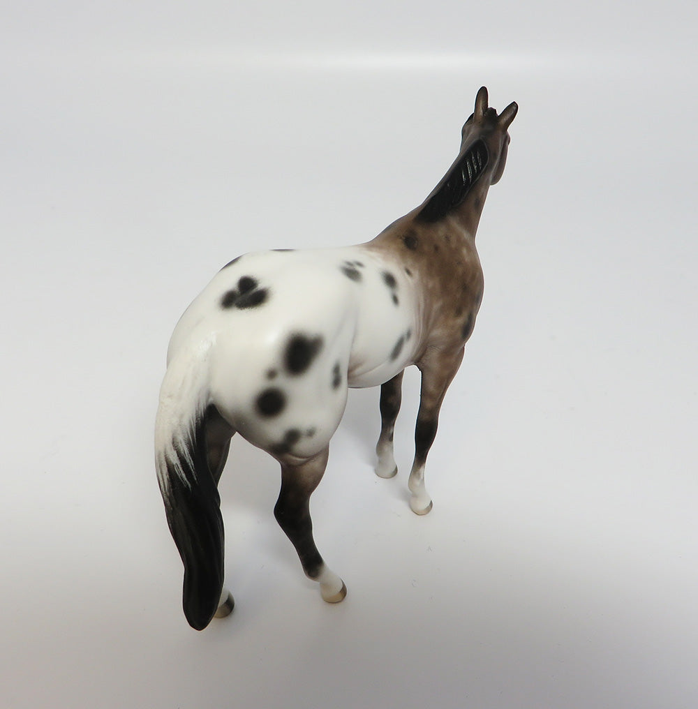 KHAN-OOAK BAY VARNISH APPALOOSA CHIP MODEL HORSE BY SHERYL LEISURE 5/24/17