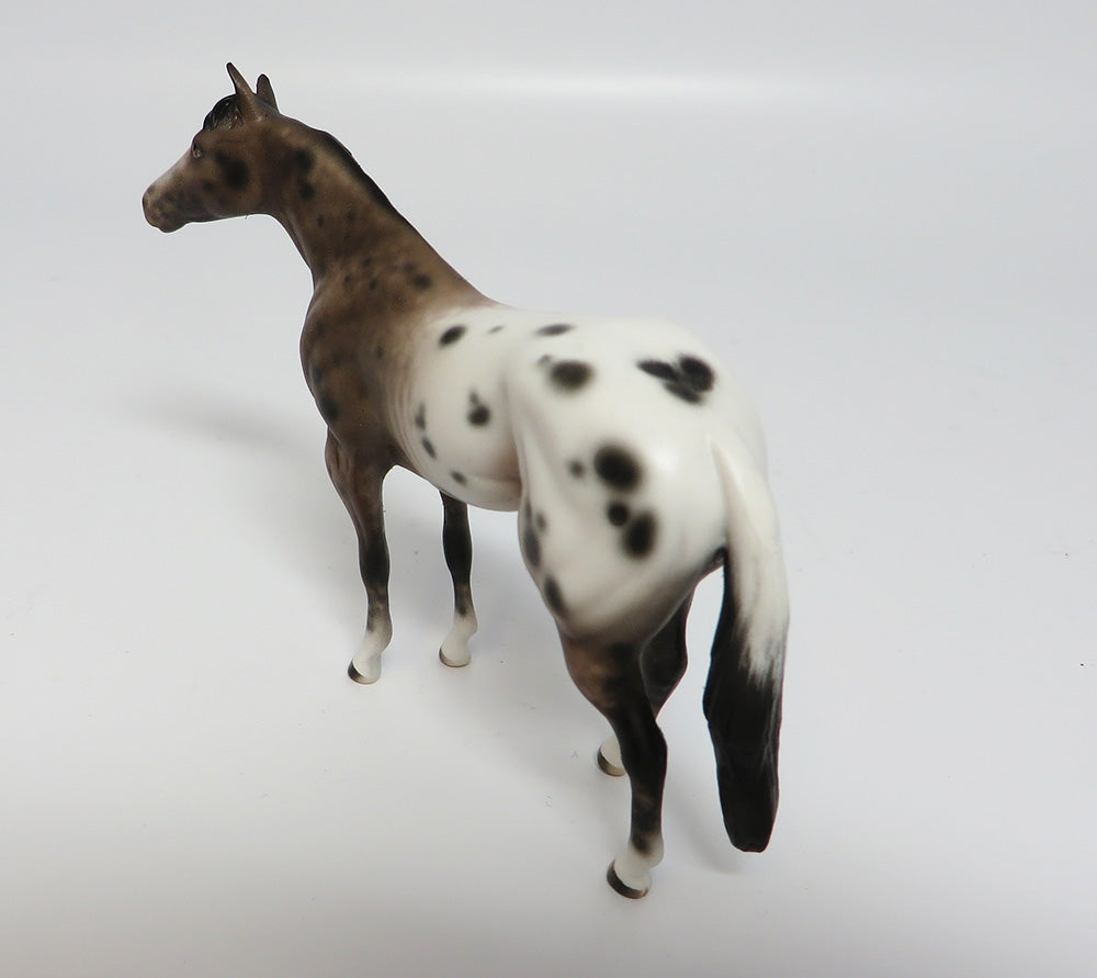 KHAN-OOAK BAY VARNISH APPALOOSA CHIP MODEL HORSE BY SHERYL LEISURE 5/24/17