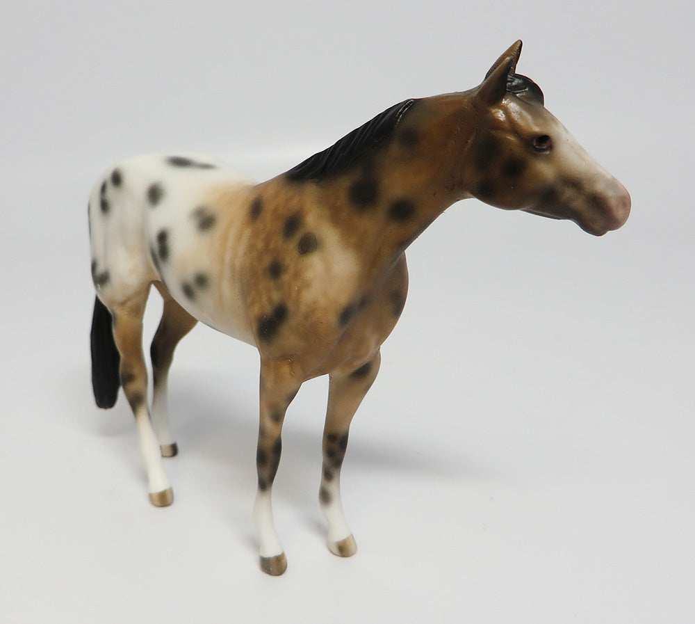 APPALOOSA