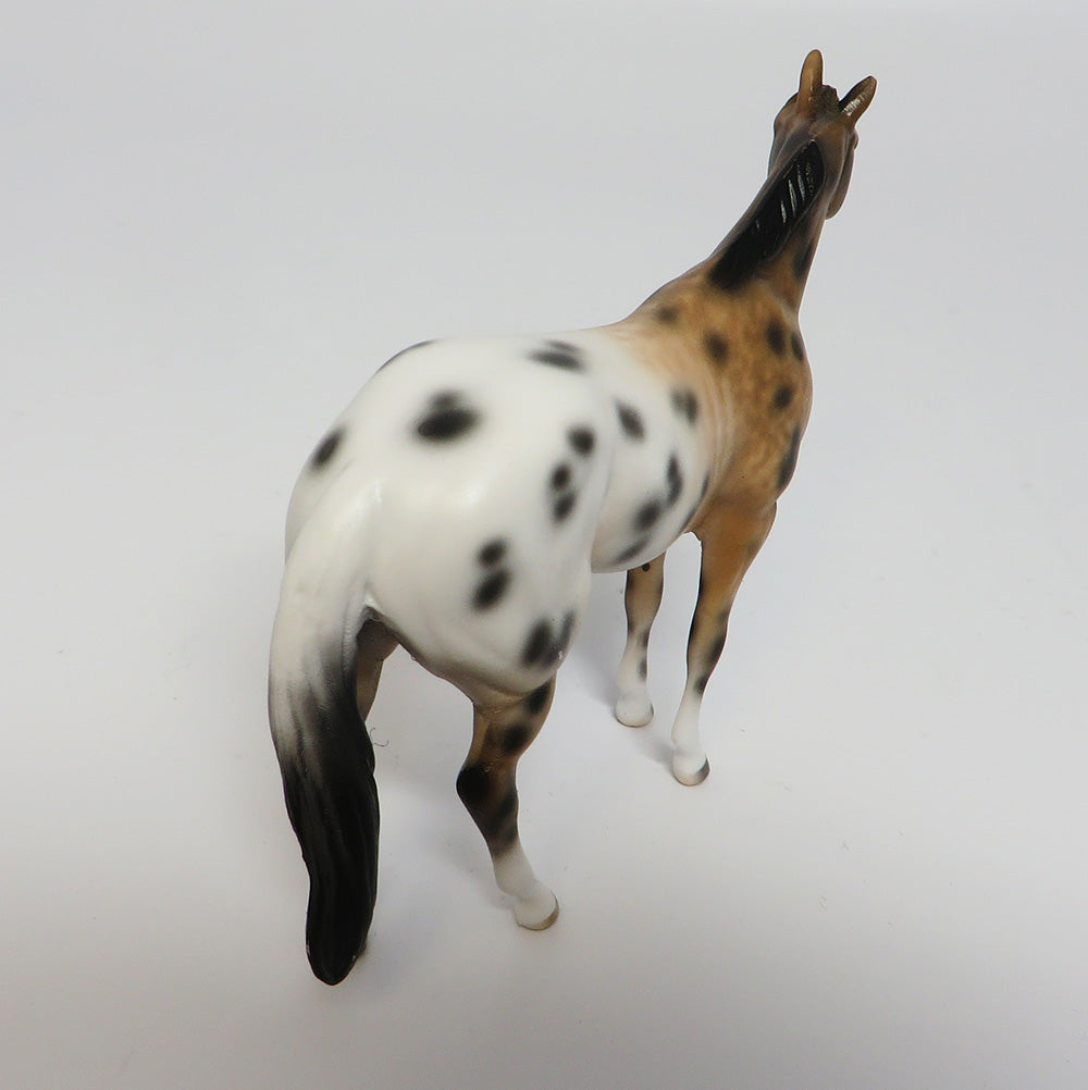 PHILIPPE-OOAK VARNISH APPALOOSA CHIP MODEL HORSE BY SHERYL LEISURE 5/24/17