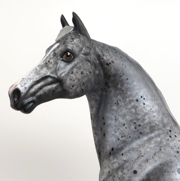 GRAVITY - OOAK APPALOOSA MORGAN MODEL HORSE by AL - 1/22
