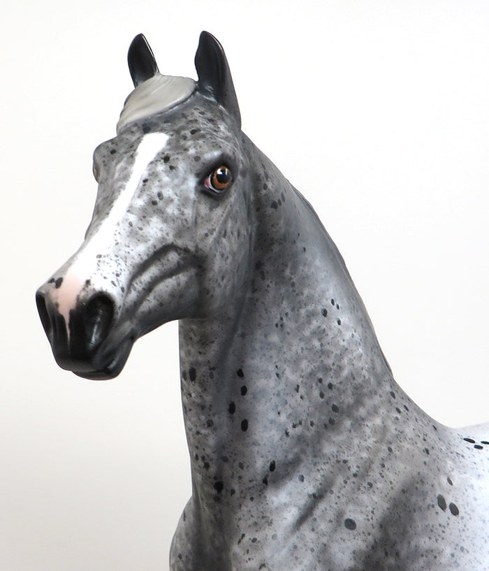 GRAVITY - OOAK APPALOOSA MORGAN MODEL HORSE by AL - 1/22