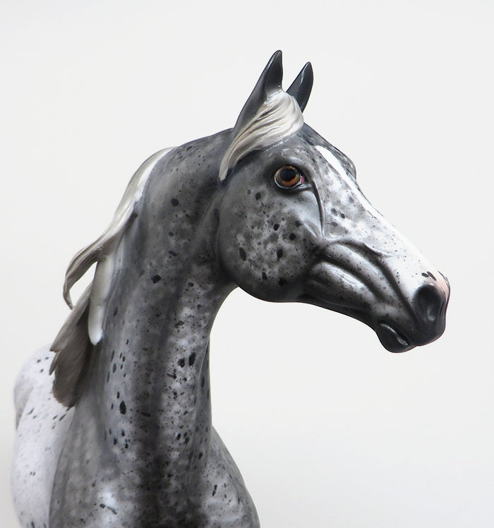GRAVITY - OOAK APPALOOSA MORGAN MODEL HORSE by AL - 1/22
