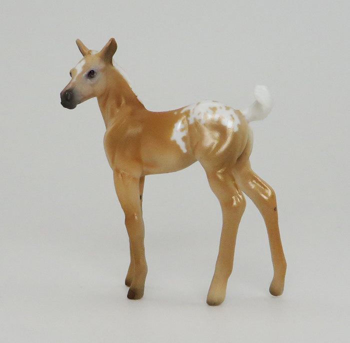 MR. GOLD-PALOMINO APPALOOSA-FOAL-CHIPS- LE-5