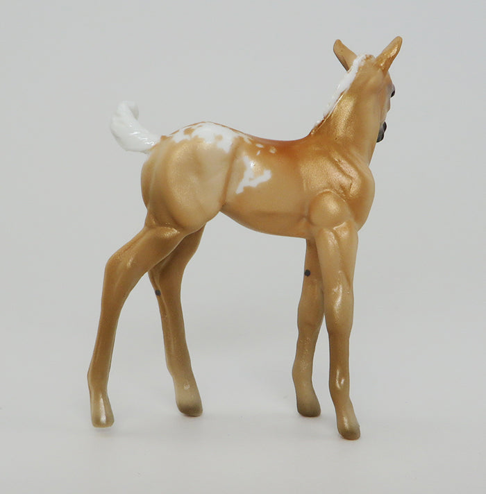 MR. GOLD-PALOMINO APPALOOSA-FOAL-CHIPS- LE-5