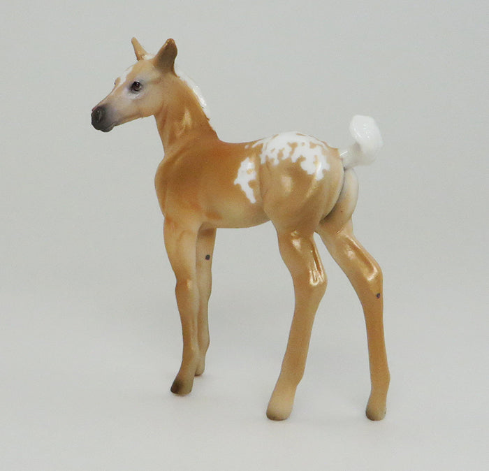 MR. GOLD-PALOMINO APPALOOSA-FOAL-CHIPS- LE-5