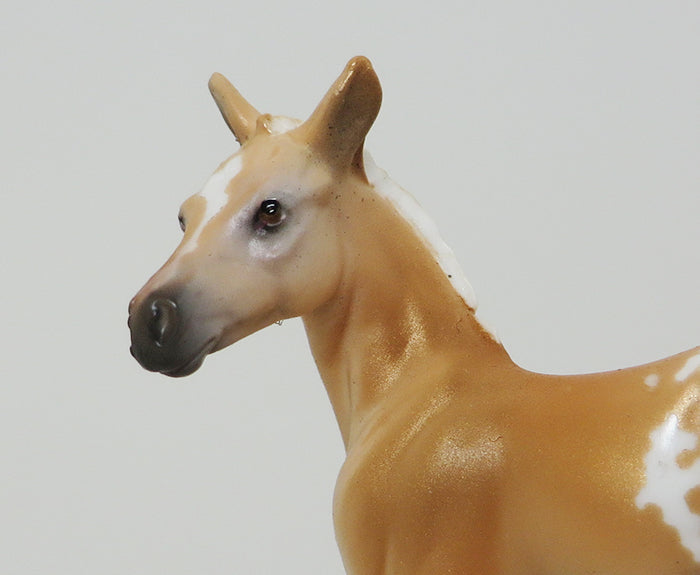 MR. GOLD-PALOMINO APPALOOSA-FOAL-CHIPS- LE-5