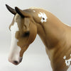 Palomino